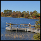 Town Lake Recreation Area in Frazee, Minnesota.