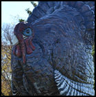 World's Largest Turkey in Frazee, Minnesota.